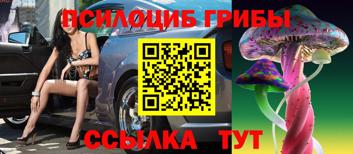 Галлюциногенные грибы Psilocybe Десногорск